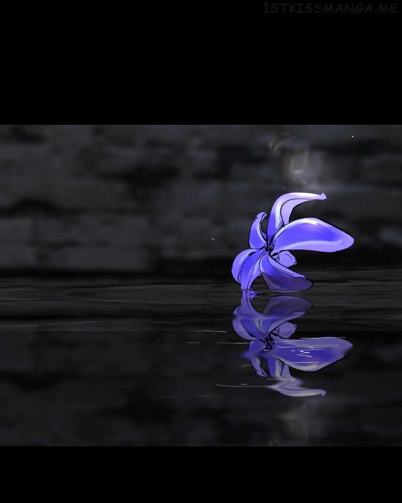 Purple Hyacinth Chapter 163 205